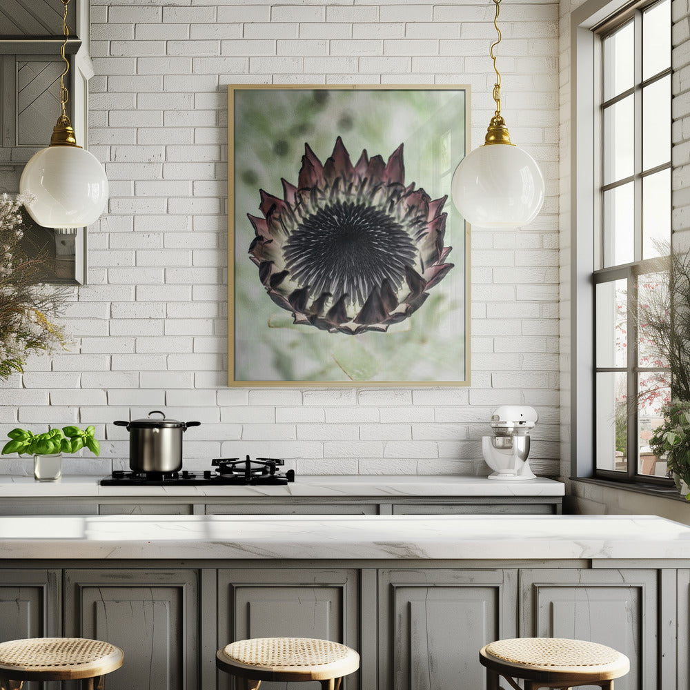 King Protea 02 Poster