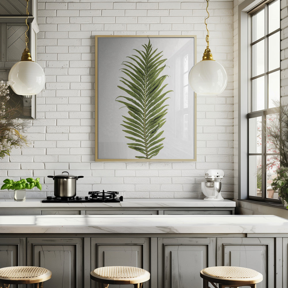 Leaf Study 01 Poster