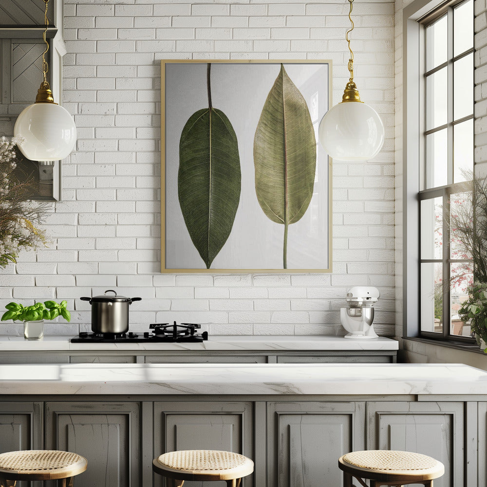 Leaf Study 05 Poster