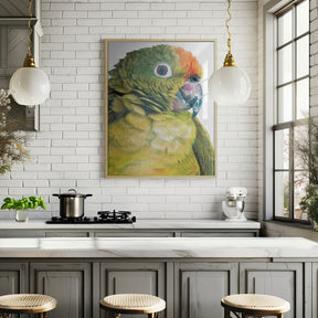 Parrot Poster