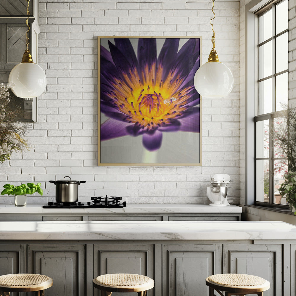 Water Lilly Poster