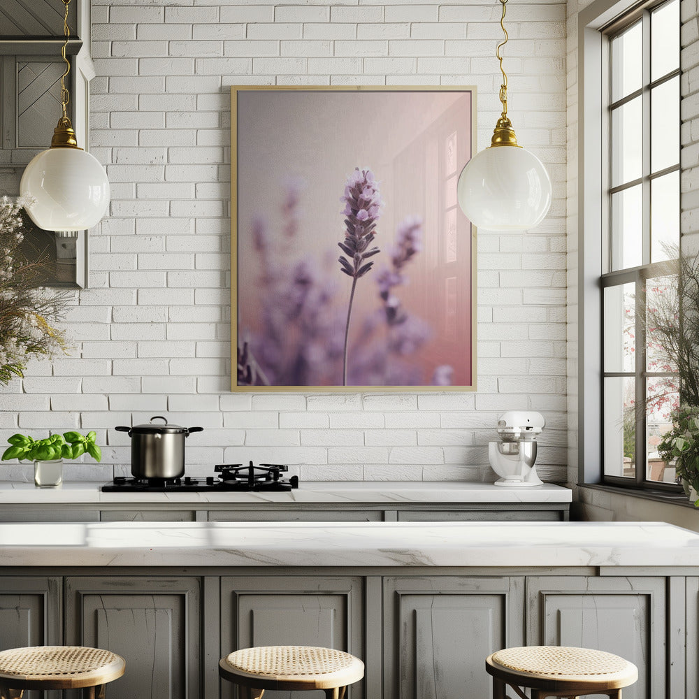 Lavender Detail Poster