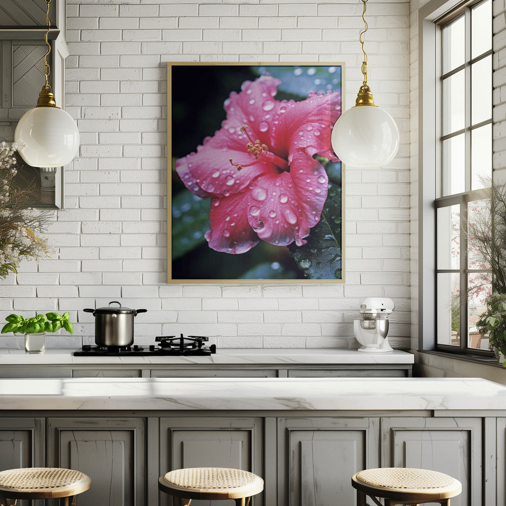 Pink Hibiscus Poster