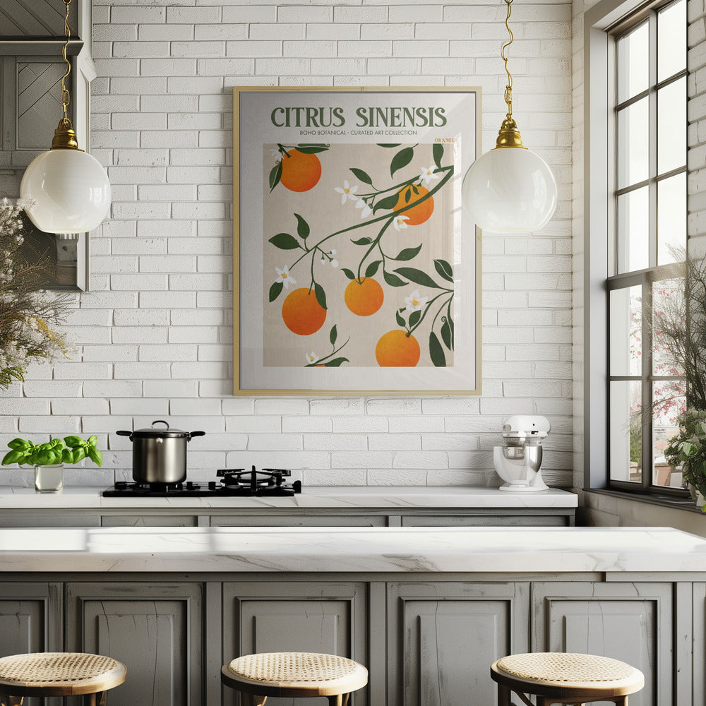 Citrus Sinensis - Orange Poster