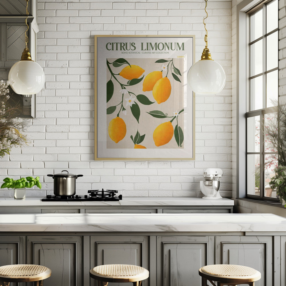 Citrus Limonum - Lemon Poster