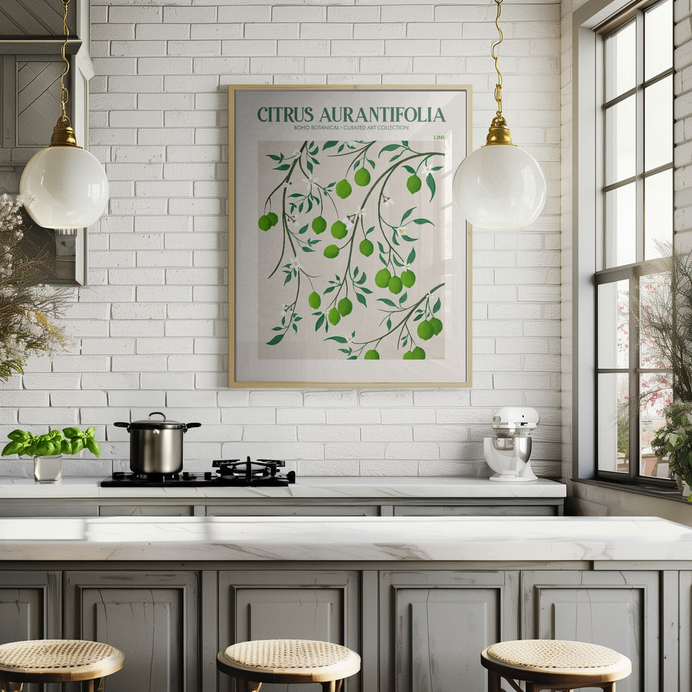 Citrus Aurantifolia - Lime Poster