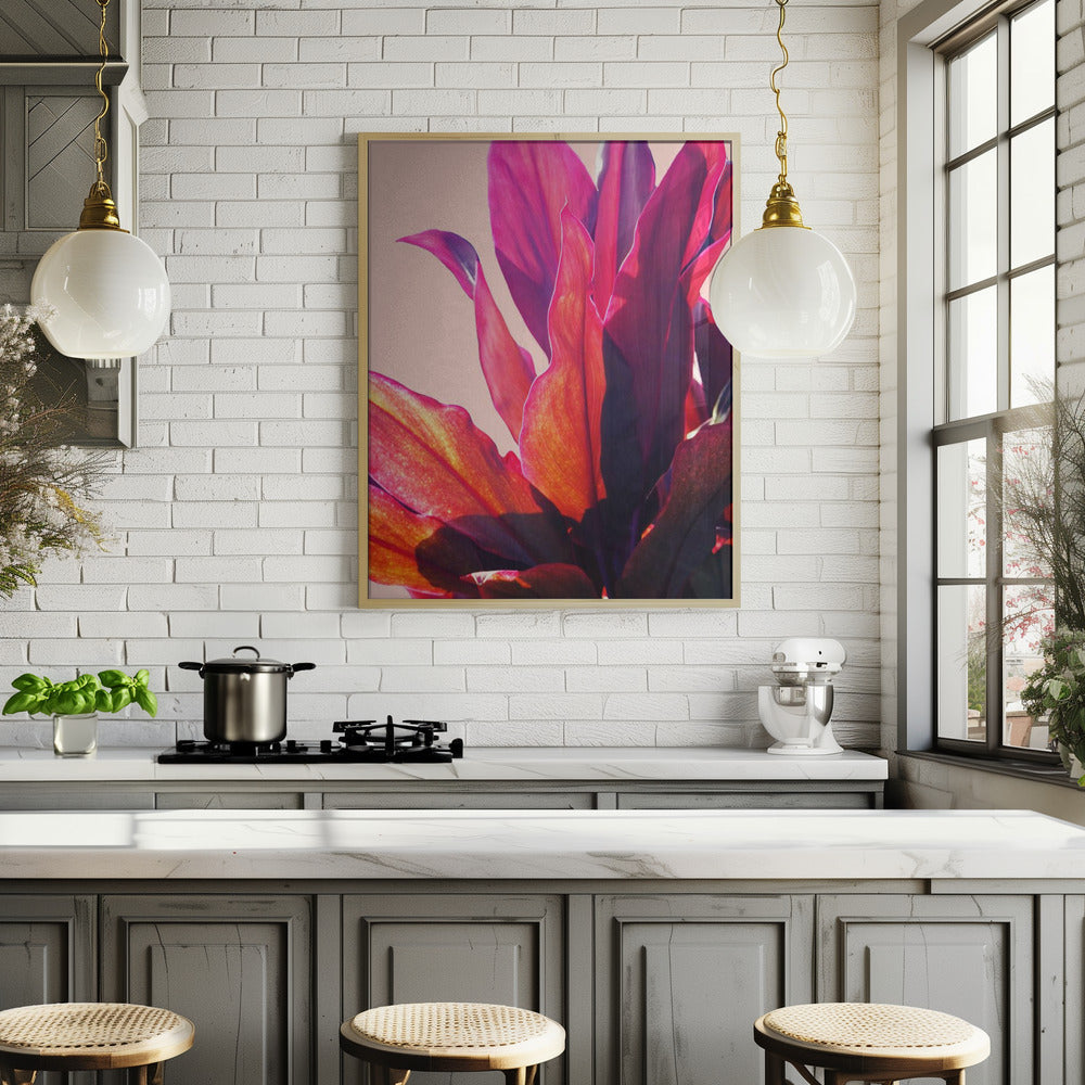 Fuchsia Leaves II Poster