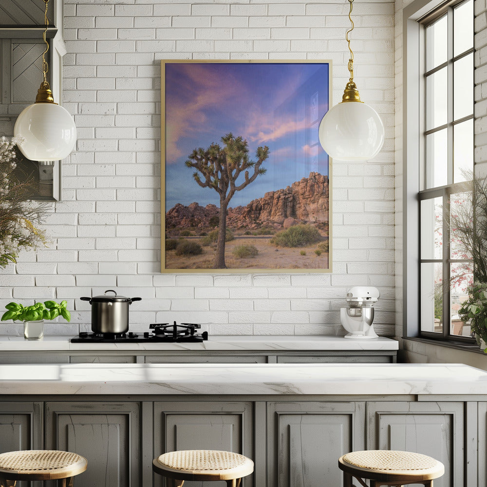 Joshua Tree Evening Atmosphere Poster