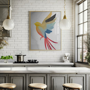 Colorful Bird Poster