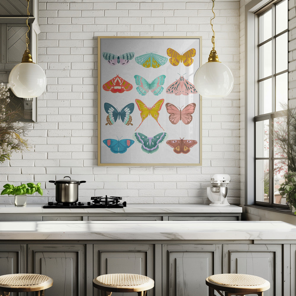 Butterfly Poster