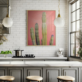 Pretty Pink Cactus Marrakech Poster