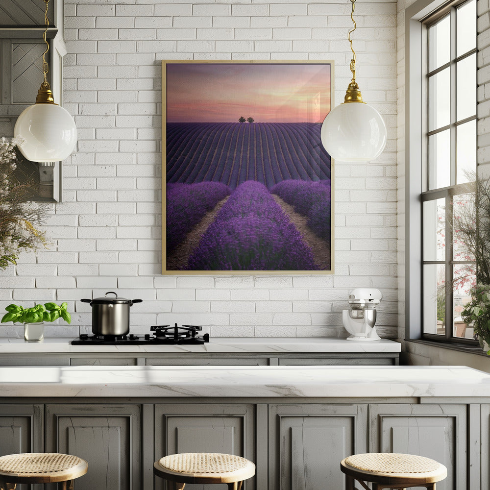 Lavender fild Poster