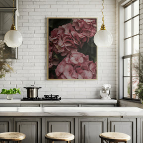 Old Pink Hydrangeas Poster