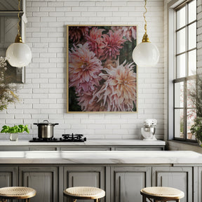 Pink Dhalias Poster