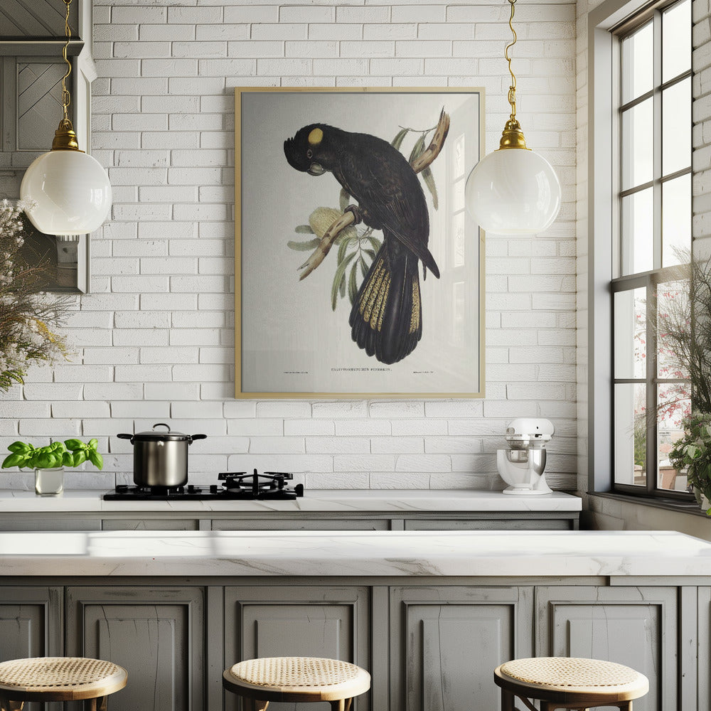 Funereal Cockatoo Poster