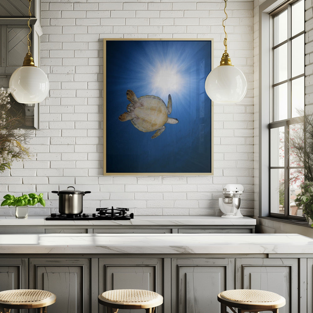 Green turtle Poster