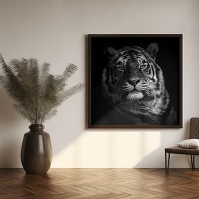 Tiger Poster