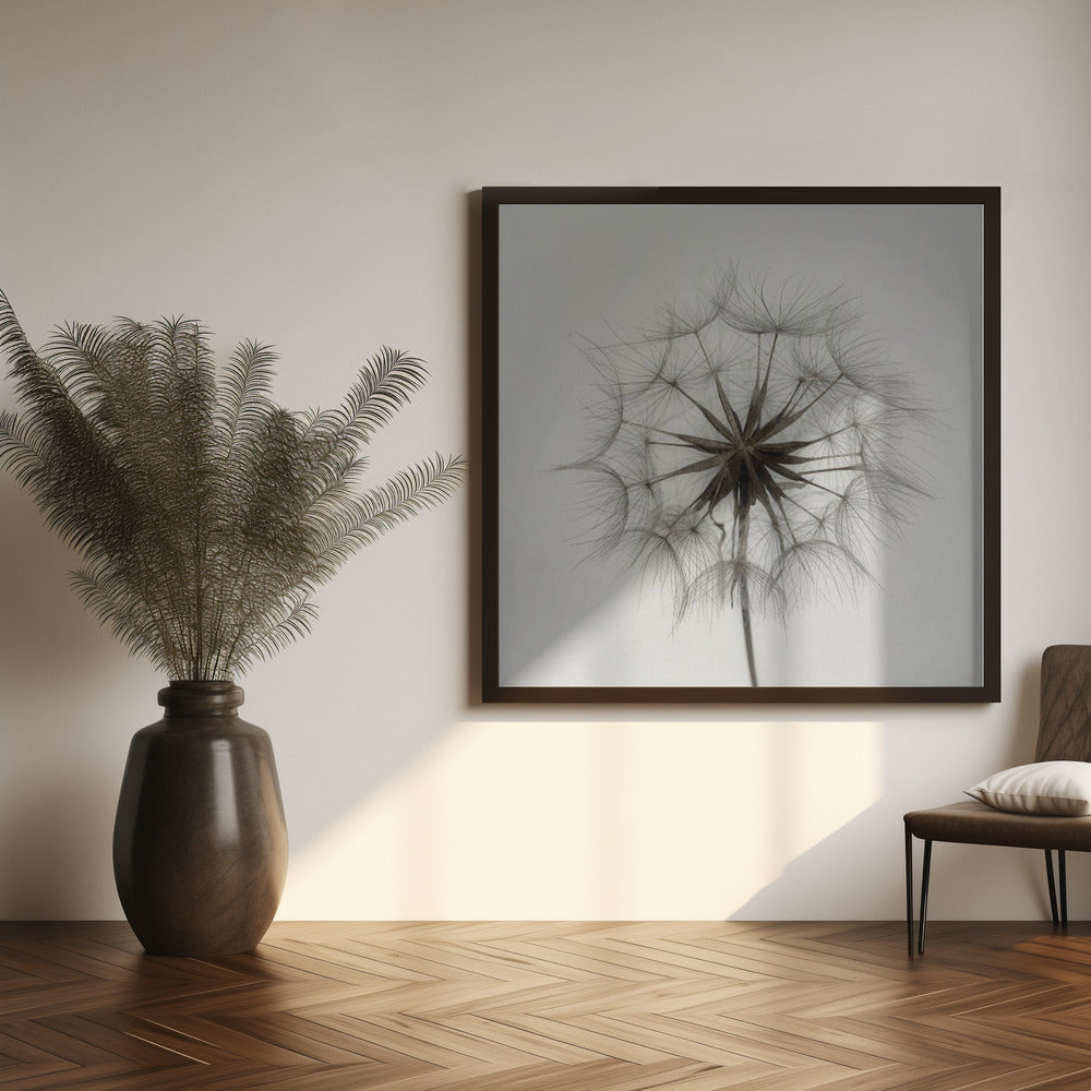 Tragopogon Poster