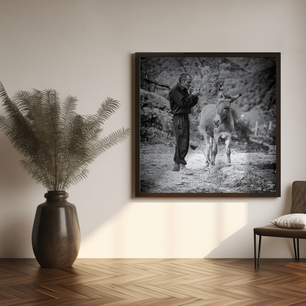 Vova and his donkey Poster