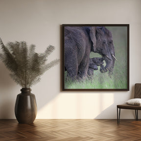 Elephant Family Poster