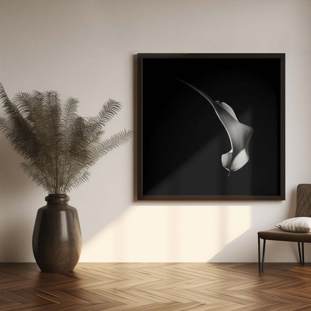 Hummingbird Abstraction (Calla Lily #3) Poster