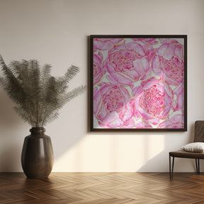 Sally's peonies pattern Poster