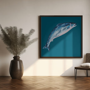 Leaping Salmon Poster