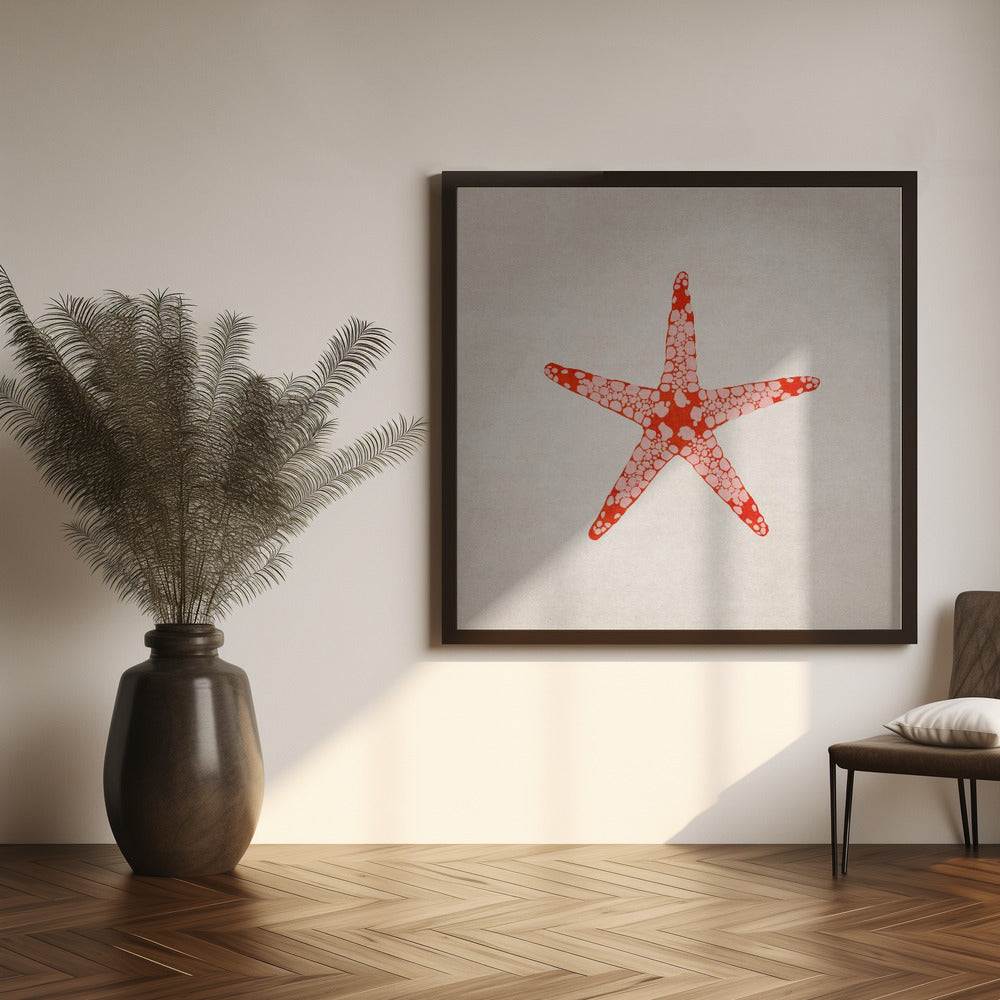 Sea Star Poster