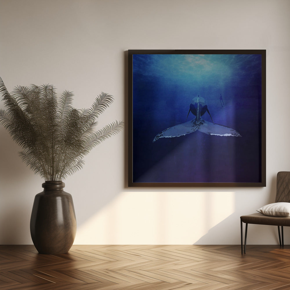 Whale Poster