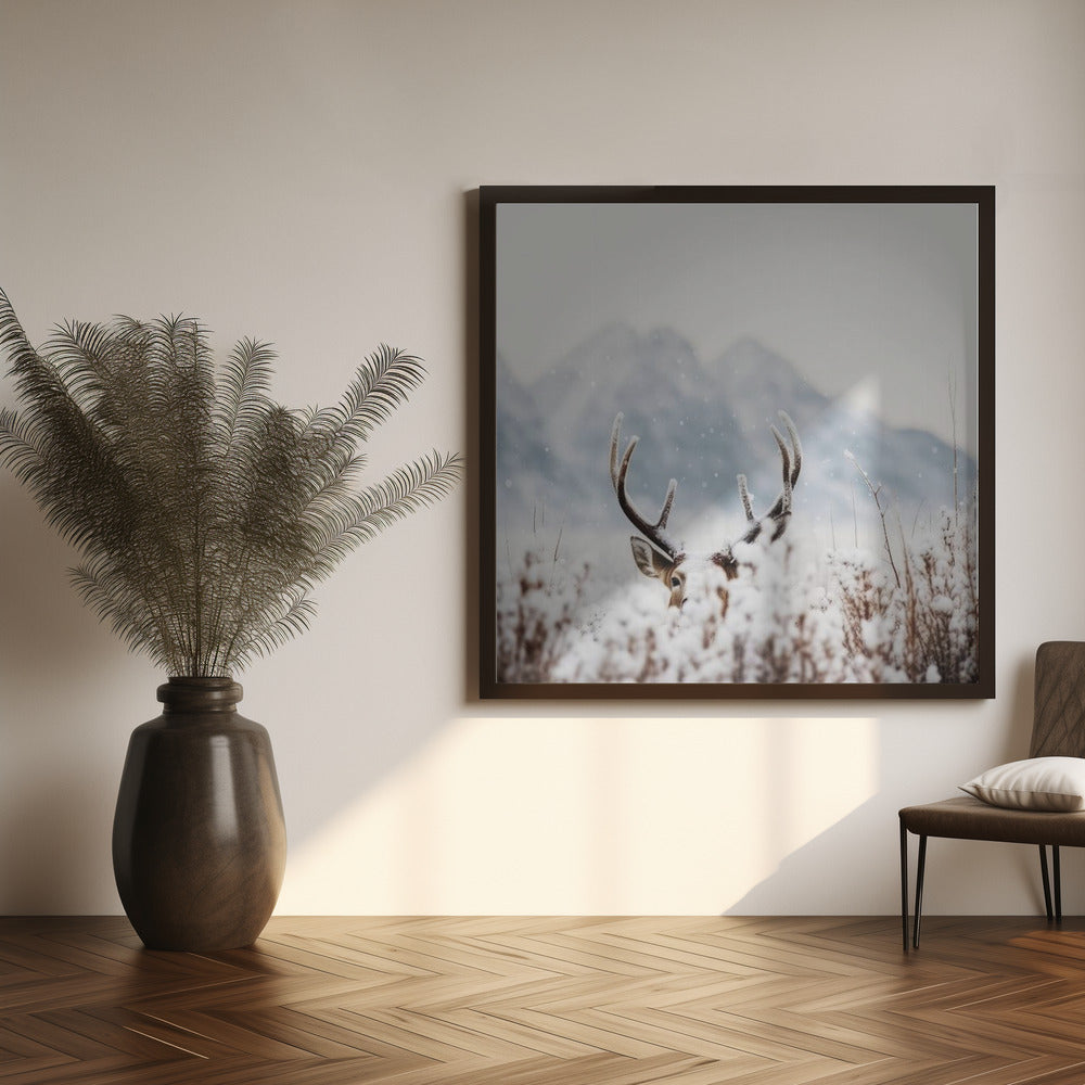 Shy Deer Poster