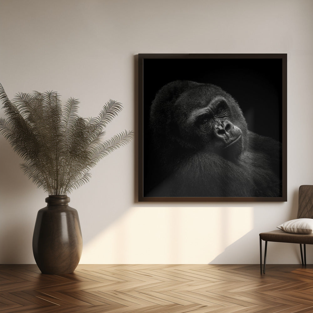 Gorilla Poster