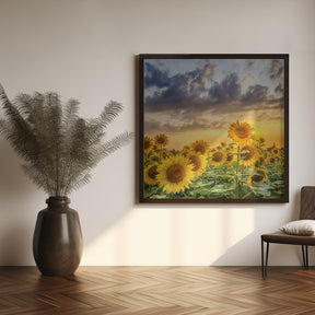 Sunflowers in the evening Poster