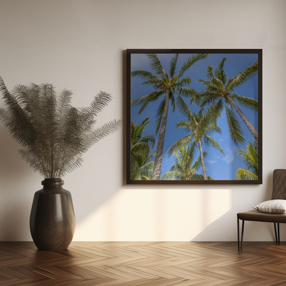 Lovely Palm Trees Poster