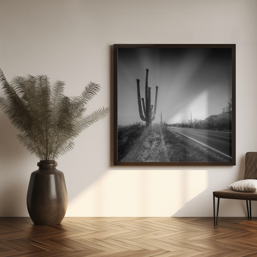 SAGUARO NATIONAL PARK Setting Sun | Monochrome Poster