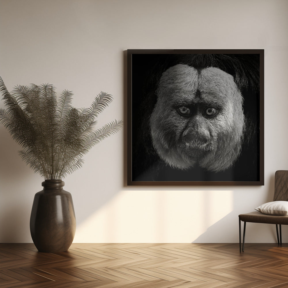 White-Faced Saki Poster