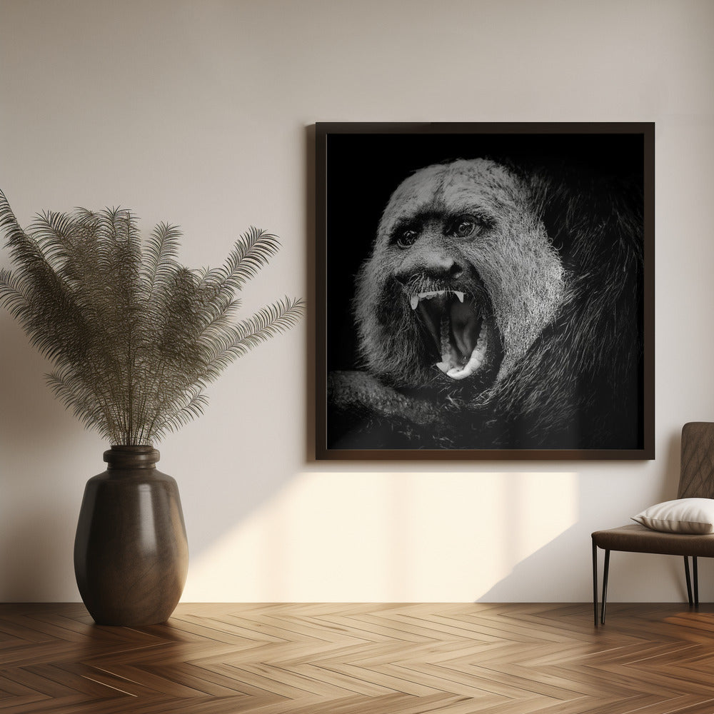 White-Faced Saki #2 Poster