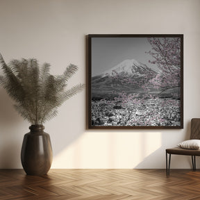 Charming view of Mount Fuji during cherry blossom season - colorkey Poster