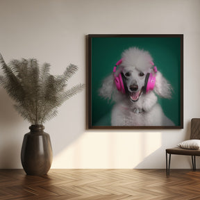 Dj Poodle Poster