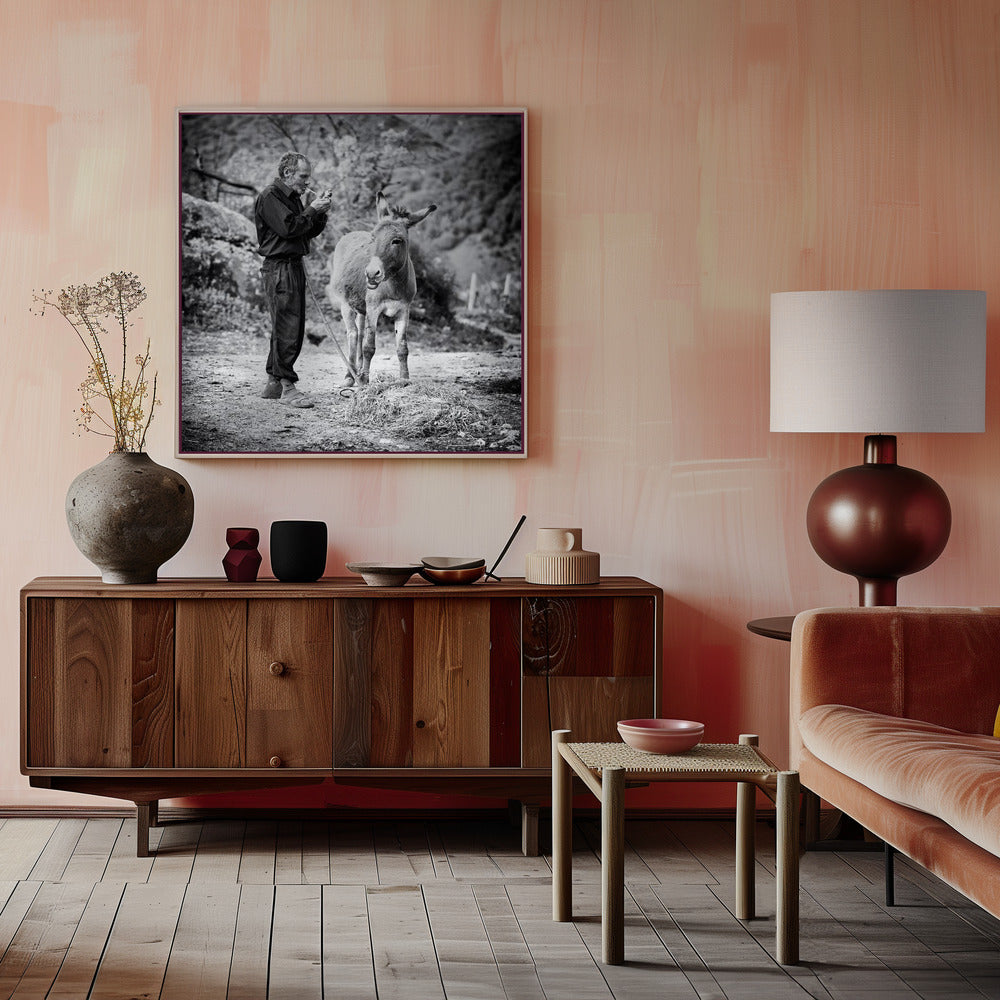 Vova and his donkey Poster