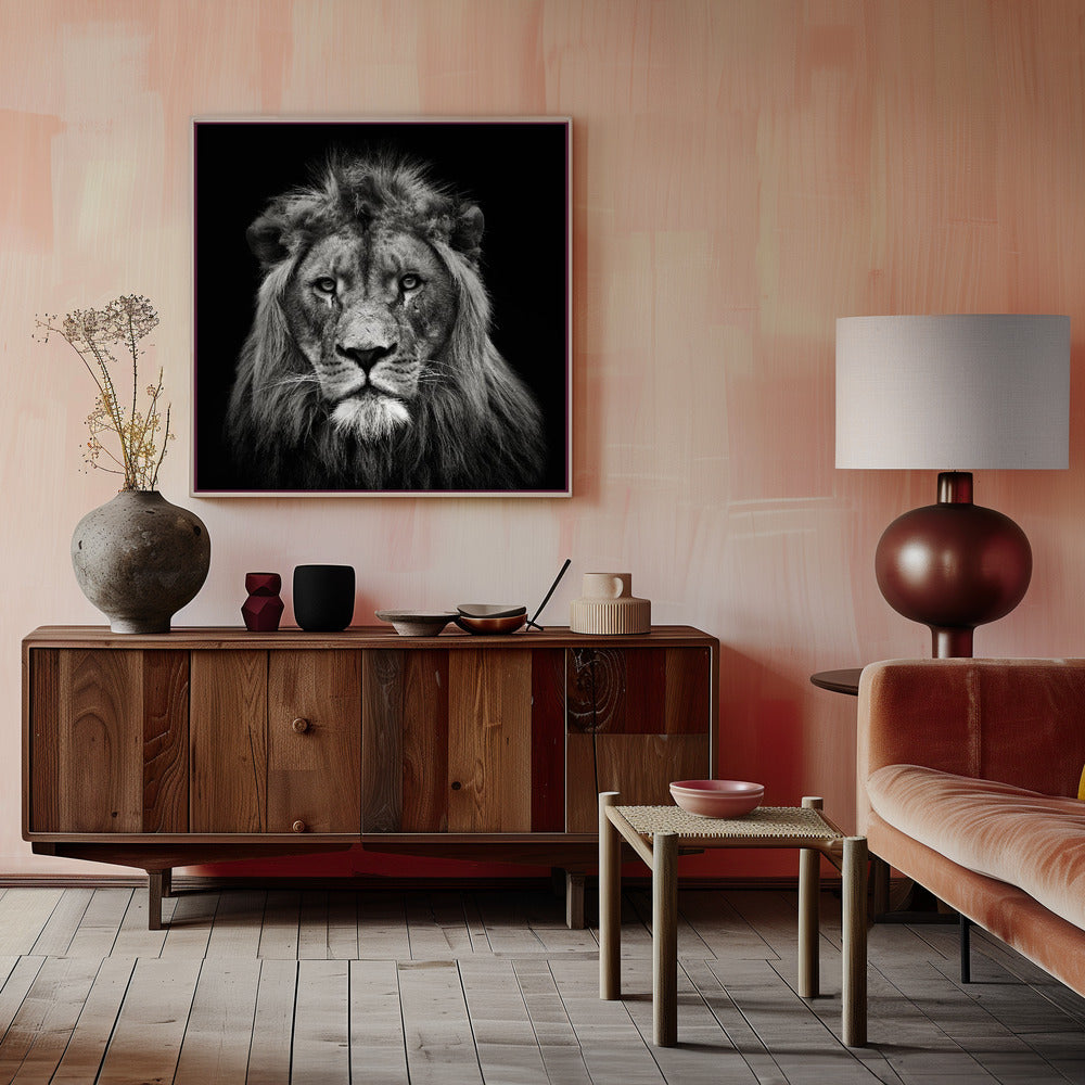 Young Male Lion Poster