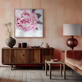 Pink peony III Poster