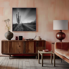 SAGUARO NATIONAL PARK Setting Sun | Monochrome Poster