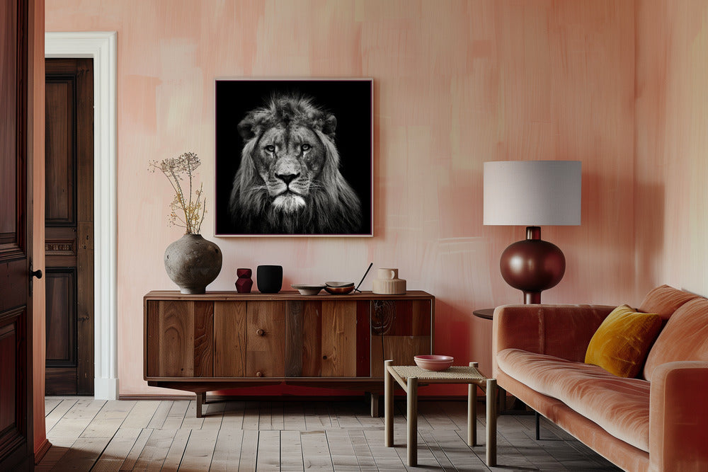 Young Male Lion Poster