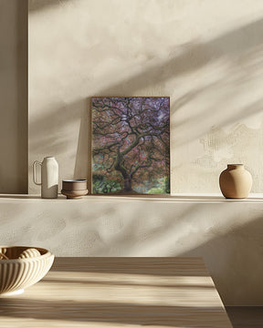 Japanese Maple Tree Poster