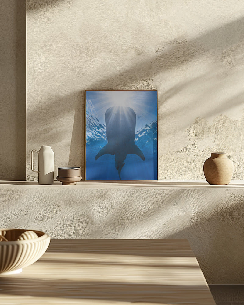 Whale shark and sun Poster