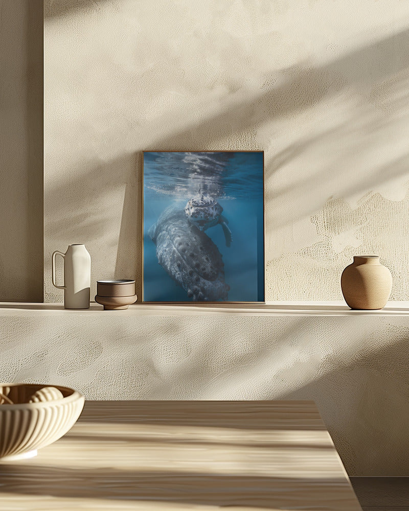 Humpback whale and calf Poster