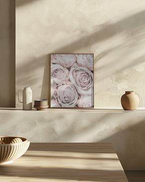 Pink Roses No 01 Poster