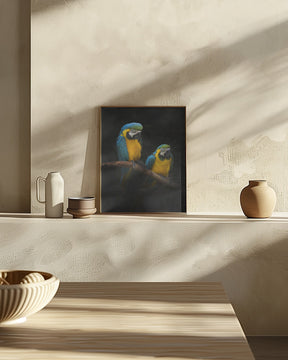 Macaw Parrots Poster