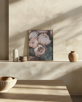 Coral Peonies Poster