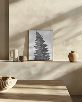 Gray fern leaf Poster